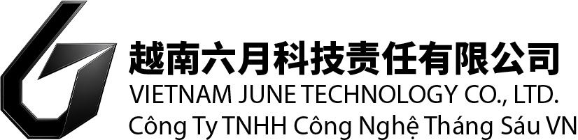 Logo công ty công nghệ tháng sáu việt nam